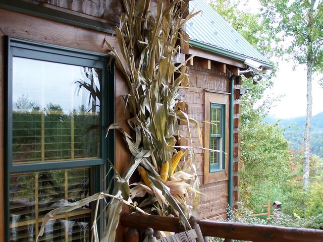 We Also Bought Some Corn Stalks.