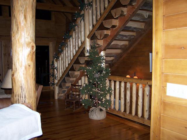 We Also Took The Time To Put New Lights On The Bear Tree And New Lights Of Garland On The Railing.