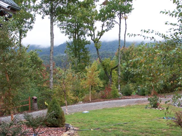 As You Can See The Leaves Are Starting To Change, In Boone They Are Almost At Full Color, Peak Here Should Be About 2 Weeks.