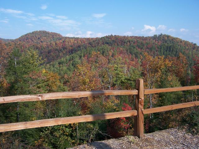 This Picture Was Taken On The North Side Of The Cabin On The Driveway.