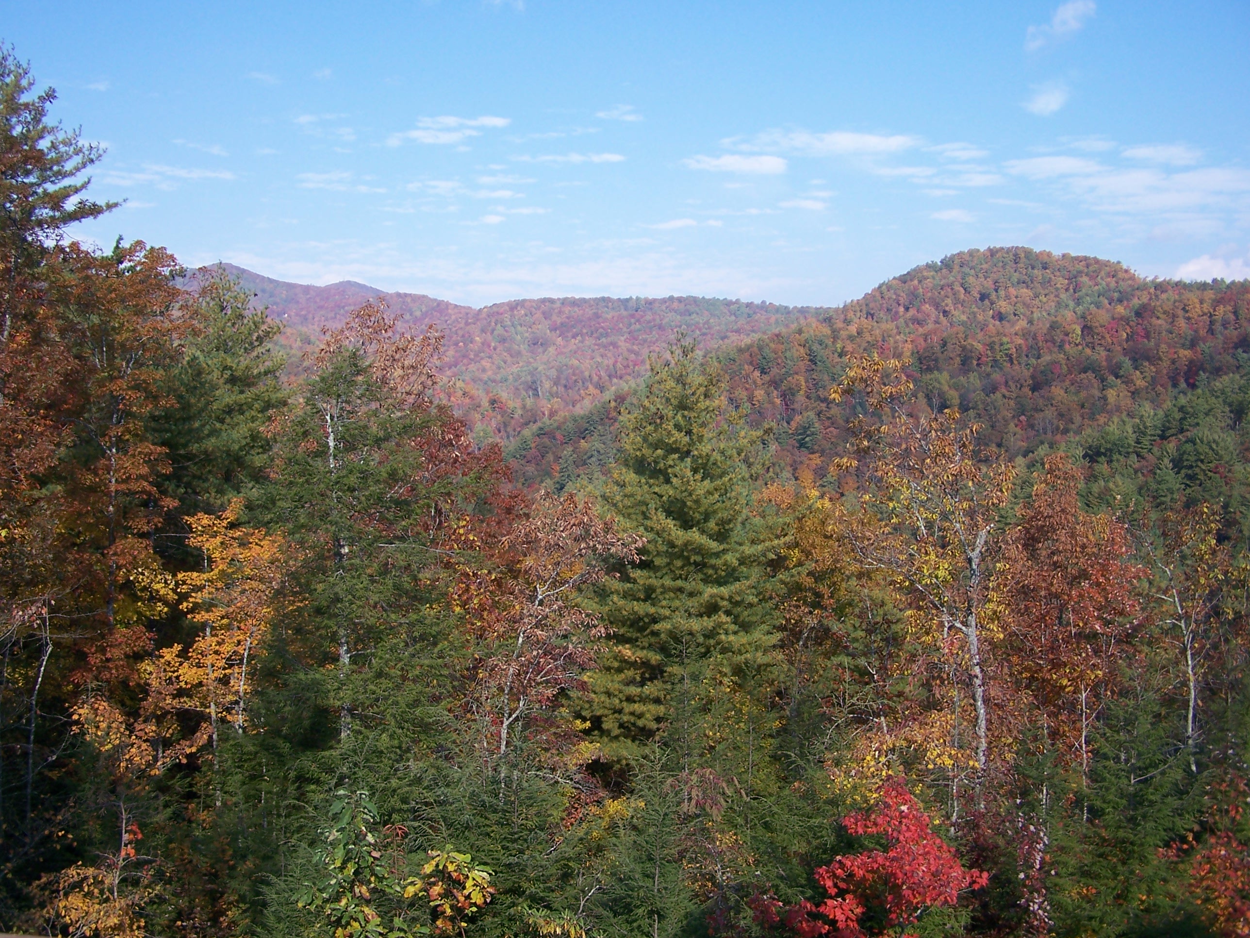 Taken Towards The Northwest Side. The Firetower Is On Left Side.