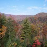 Taken Towards The Northwest Side. The Firetower Is On Left Side.