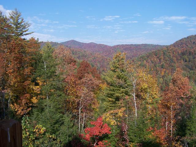 Another Picture Taken Towards The Dugger Firetower.