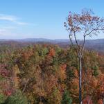 Taken Off The Back Deck Of Cabin