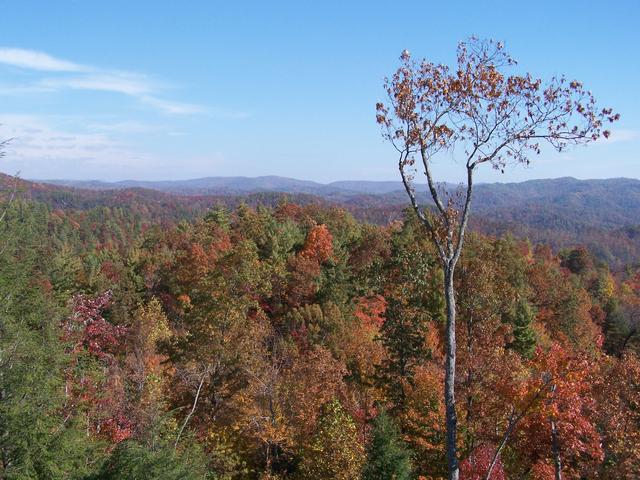 Taken Off The Back Deck Of Cabin