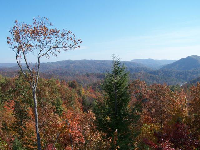 Taken Off Back Deck Toward The Northeast