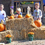 Jake, Blake and Grayson....Hey Blake Get That Pumpkin Stem Out Of You Nose!