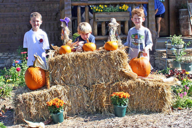 Jake, Blake and Grayson....Hey Blake Get That Pumpkin Stem Out Of You Nose!