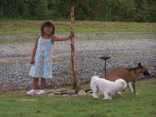 Zoee' Playing With Lizzie & Klair