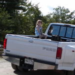 Broccoli Spears In Back Of Truck