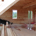 Looking Into Master Bedroom After First Floor Put On