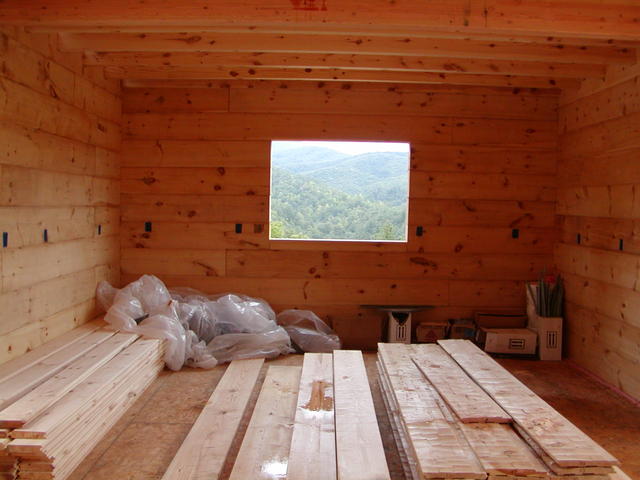 Looking Through Kitchen Window