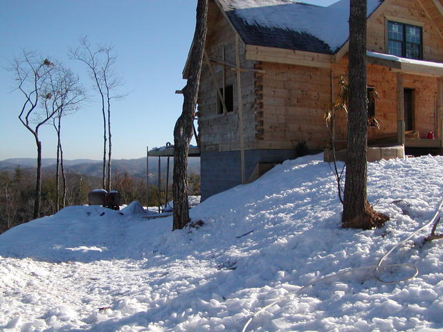 Driveway View