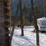 Camper We Stayed In While Under Construction