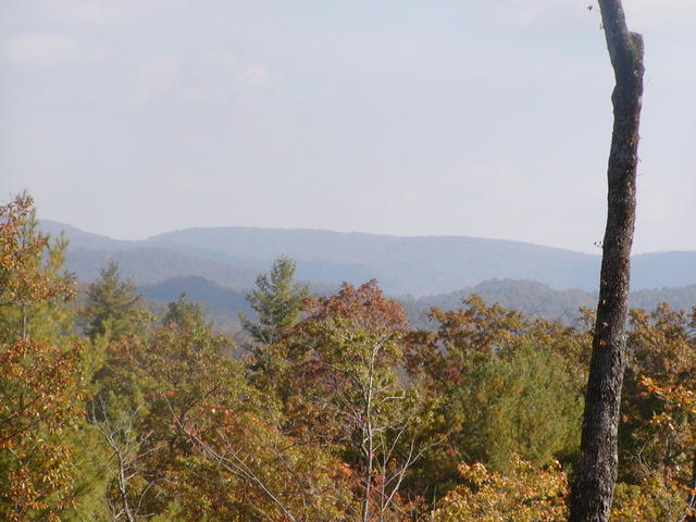 October 2003 Leaves Changing Colors