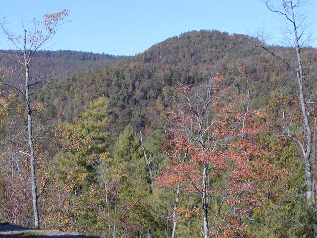 North View From Back Porch. October 2003
