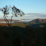 Taken By Jack Plowman on November 4, 2004. Wind Was Blowing about 40 mph. Enlarge To Max And See The Leaves Blowing.