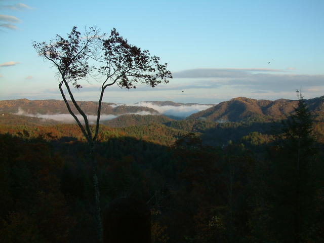 Taken By Jack Plowman on November 4, 2004. Wind Was Blowing about 40 mph. Enlarge To Max And See The Leaves Blowing.