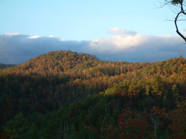 Another Picture By Jack Plowman. These Were Taken After Storm At Around 5:00pm