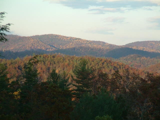 Picture By Jack Plowman. These Were Taken After Storm November 4, 2004 At Around 5:00pm 