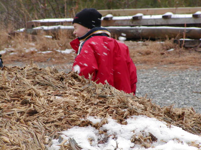 Its Showball Time!  Dustin Gets Smacked With A Snowball.