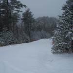 Looking Down The Road Beyond The Cabin.