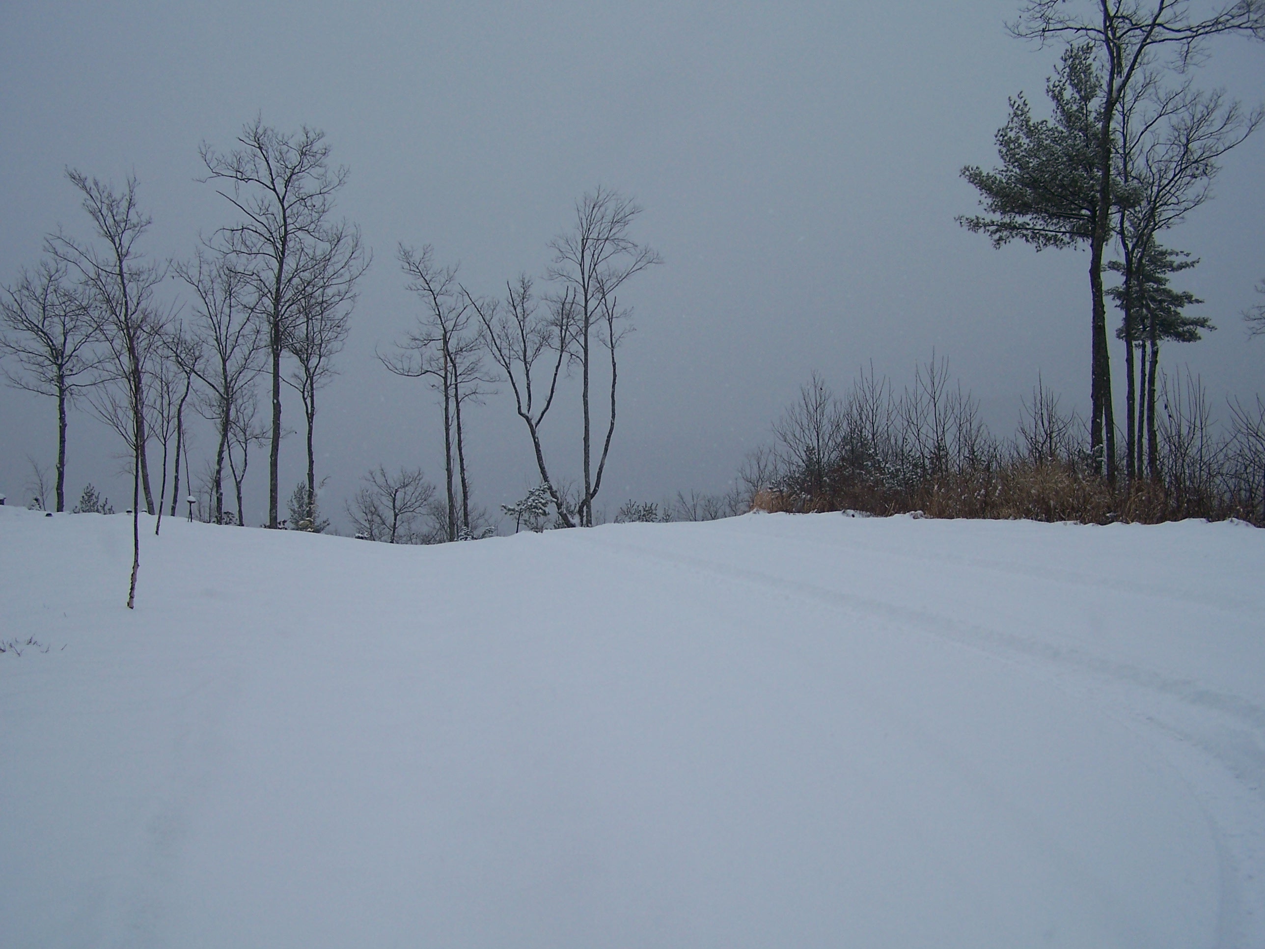 Top Of The Road In Front Of The Cabin