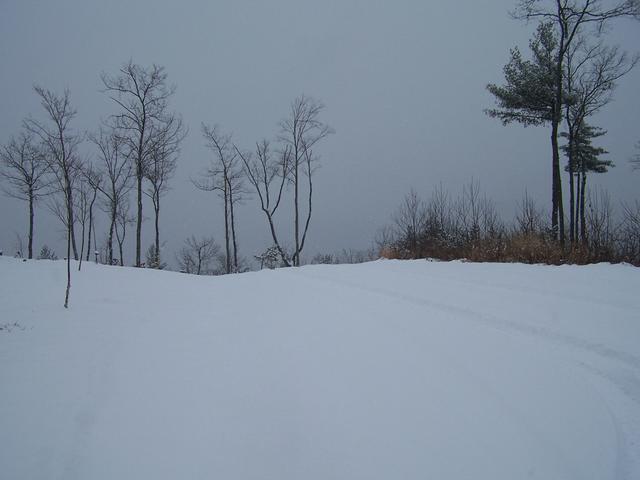 Top Of The Road In Front Of The Cabin