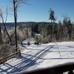 Looking Off Back Porch Down Pegs Branch Road