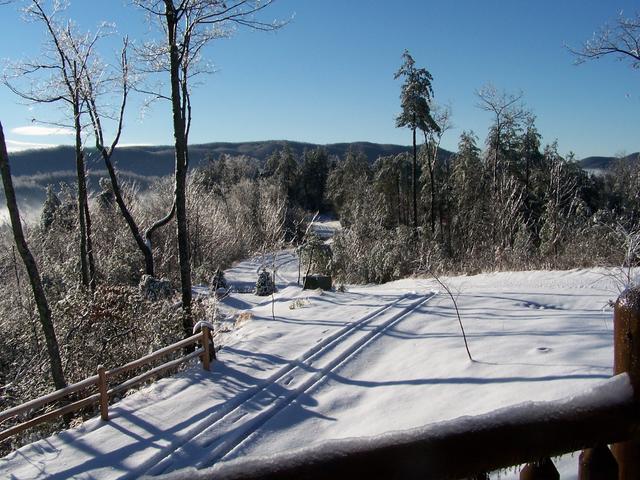 Looking Off Back Porch Down Pegs Branch Road
