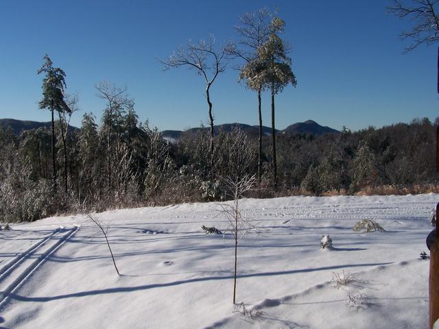 Looking At Road In Front Of Cabin