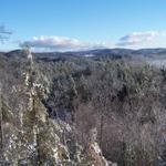 Taken From Back Porch Of Cabin