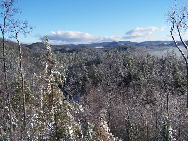 Taken From Back Porch Of Cabin