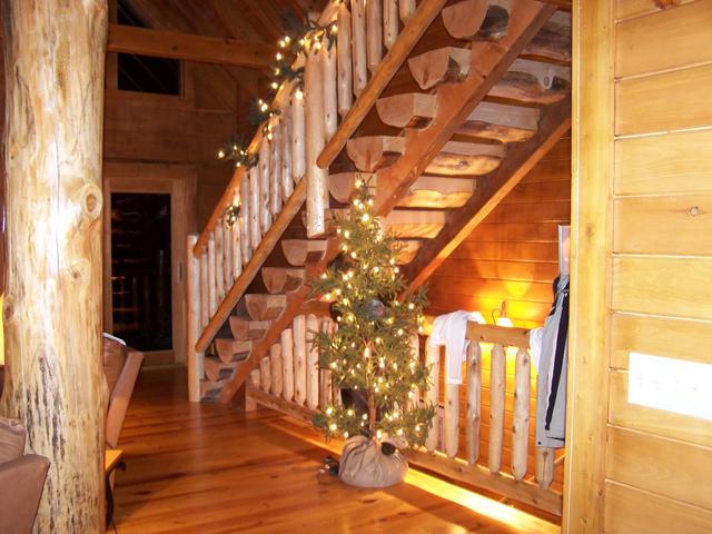 Bear Tree and Stairway.