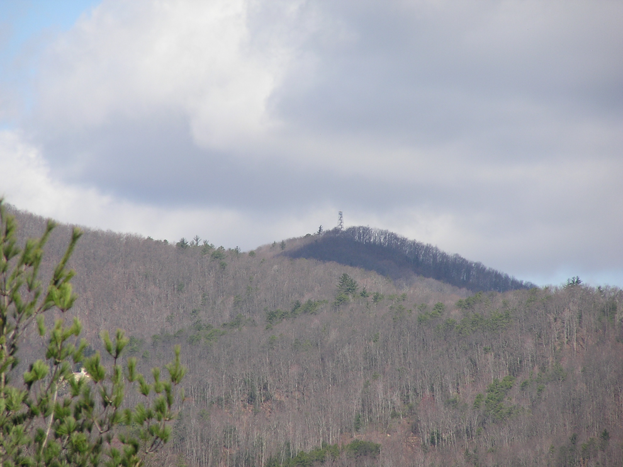 View Of Fire Tower From Cabin