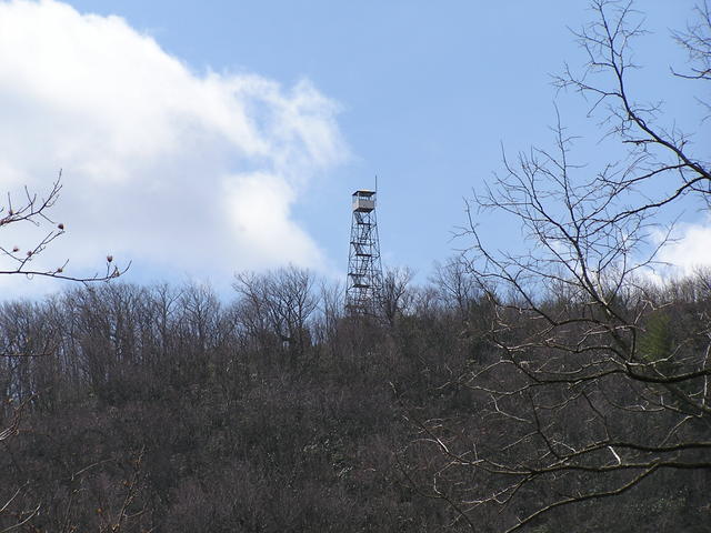 Fire Tower Taken on The Way Back To Cabin.