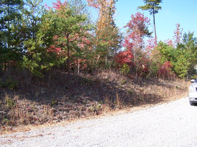 This Was Taken Looking Up At Ricky & Vicki's Lot.