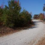 A Little Further Down The Road, Ricky & Vicki's Lot On Left, You Can See Our Cabin In Background.