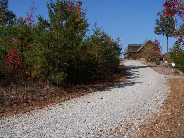 A Little Further Down The Road, Ricky & Vicki's Lot On Left, You Can See Our Cabin In Background.