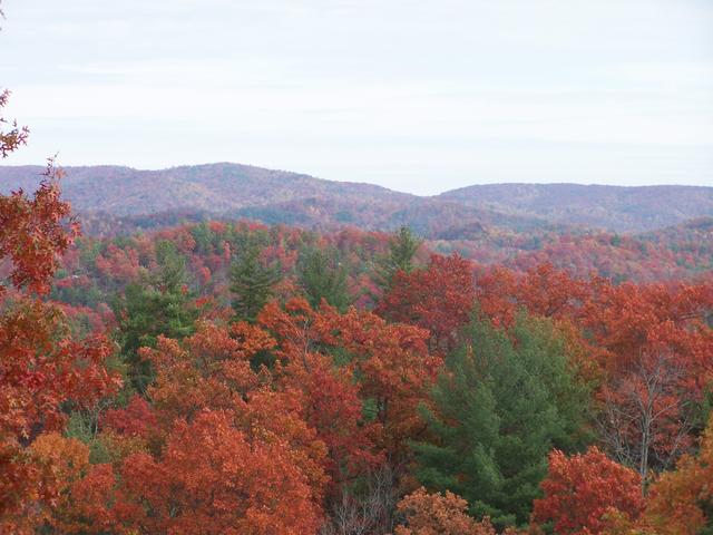 Fall 2007 006