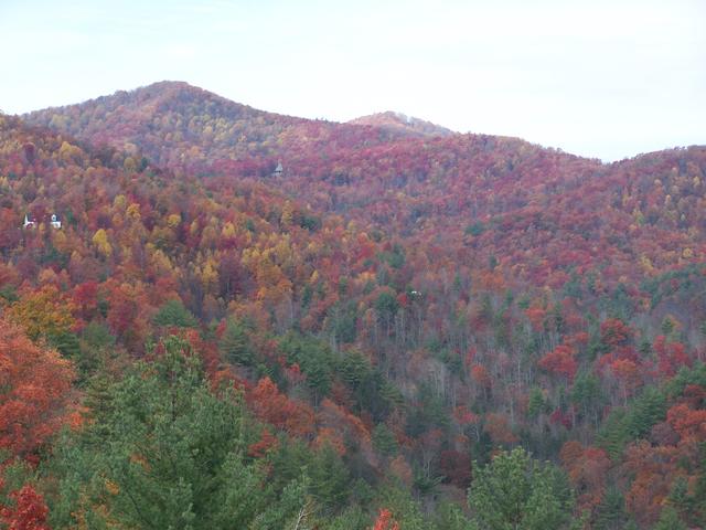 Fall 2007 005