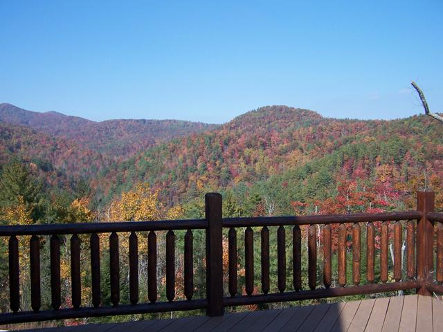 Fall 2007 009