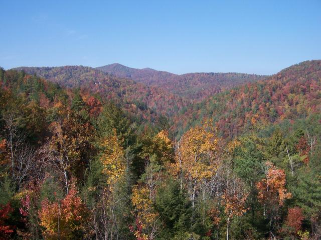 Fall 2007 010