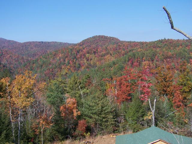 Fall 2007 013