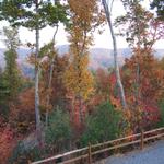 Fall 2007 025