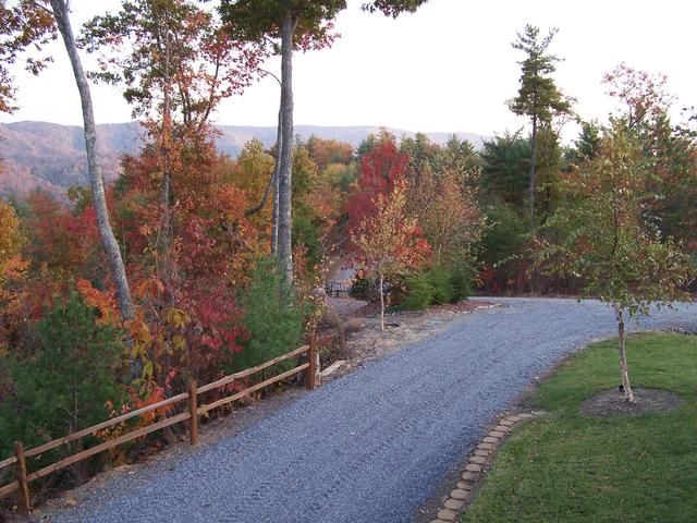 Fall 2007 026